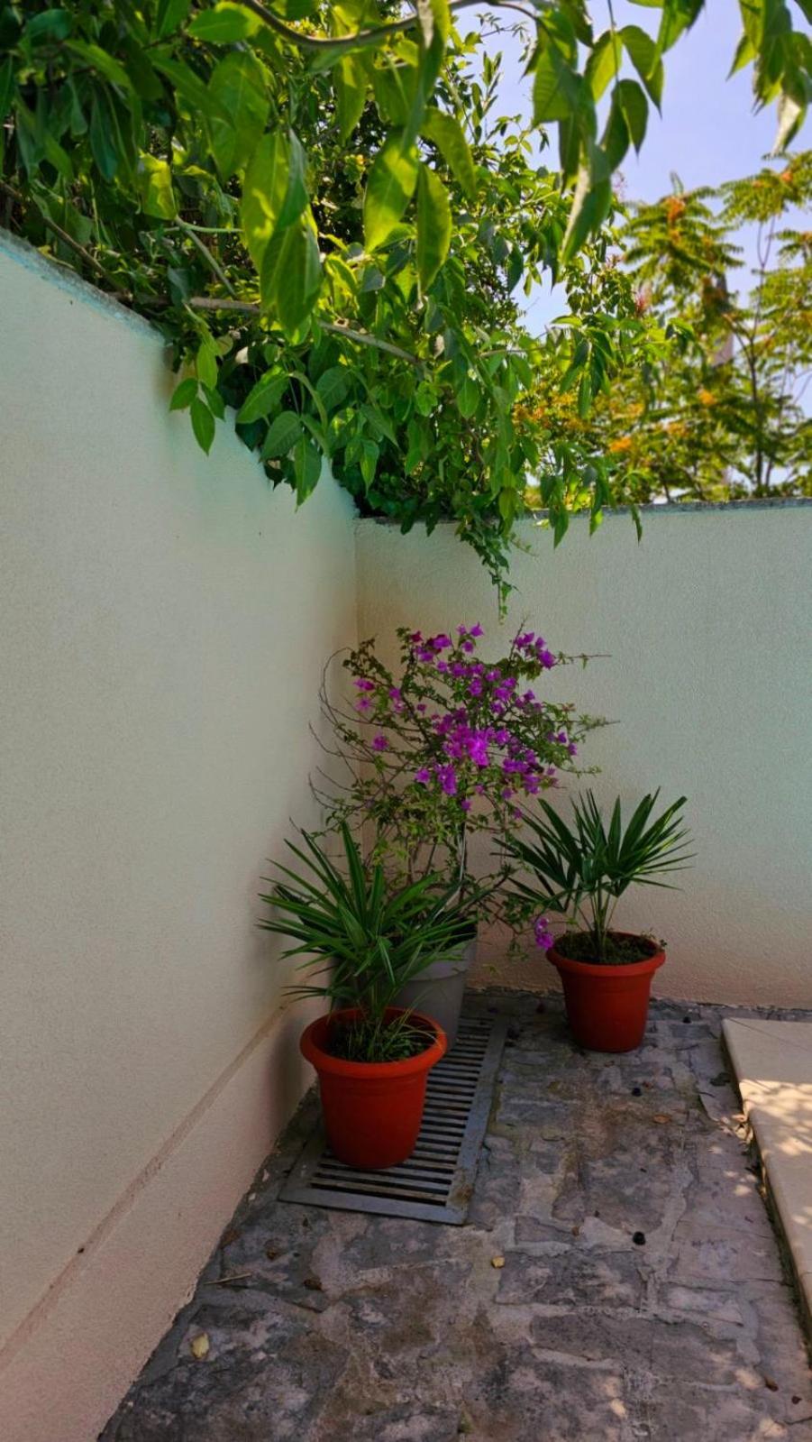 Lovely House With Swimming Pool Mostar Exterior photo